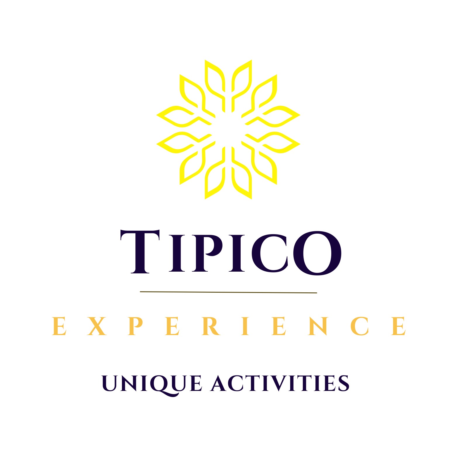 Book your experience, cooking lesson and activity in Puglia