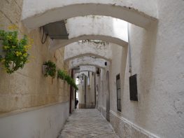 Monopoli